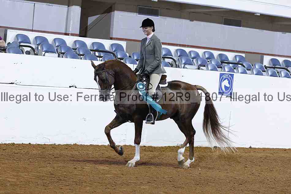 Proof Number 12r9_1807