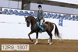 12r9_1807 thumbnail