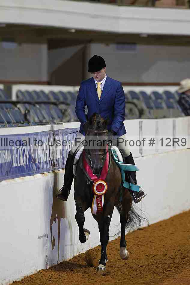 Proof Number 12r9_1821
