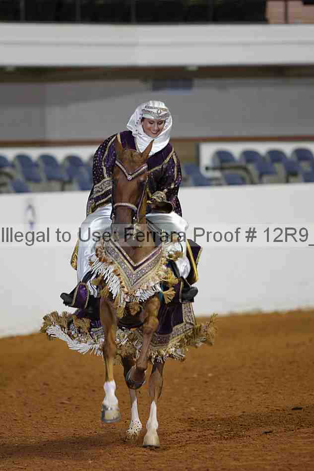 Proof Number 12r9_1866