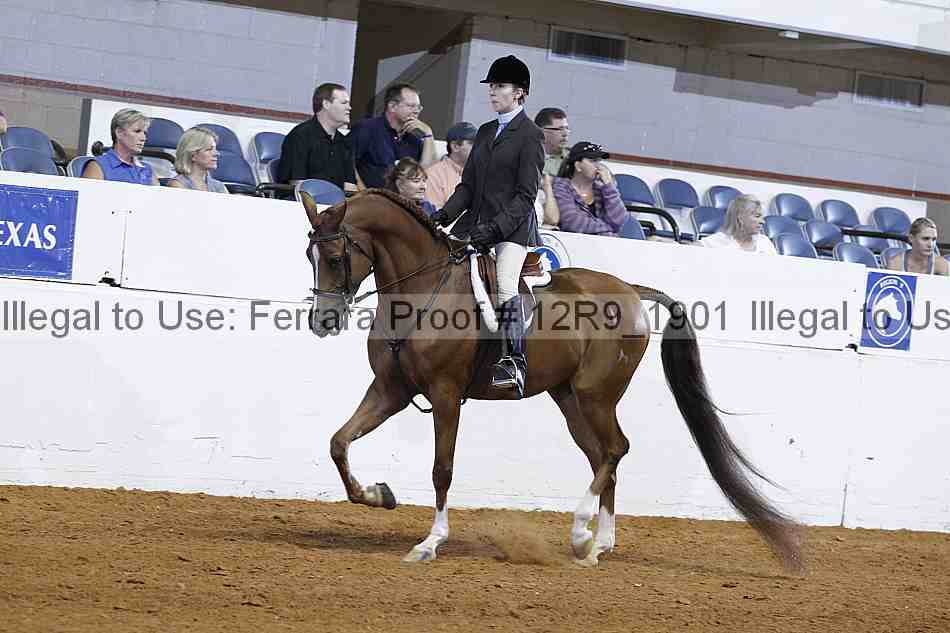 Proof Number 12r9_1901
