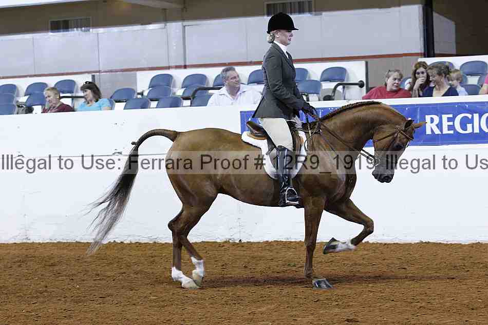 Proof Number 12r9_1919