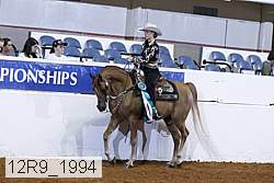 12r9_1994 thumbnail
