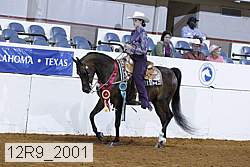 12r9_2001 thumbnail