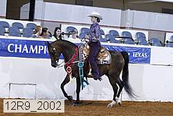 12r9_2002 thumbnail