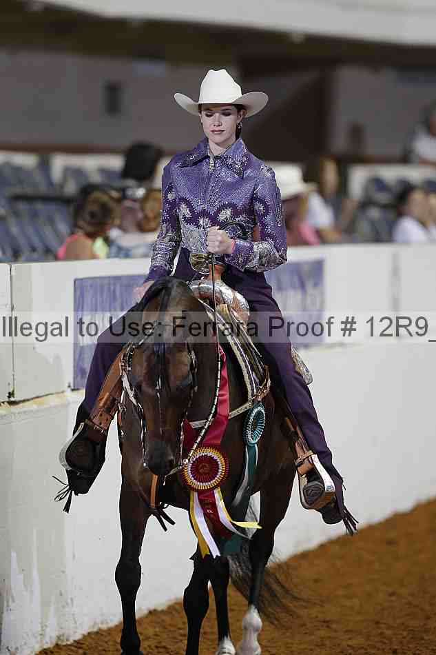 Proof Number 12r9_2011