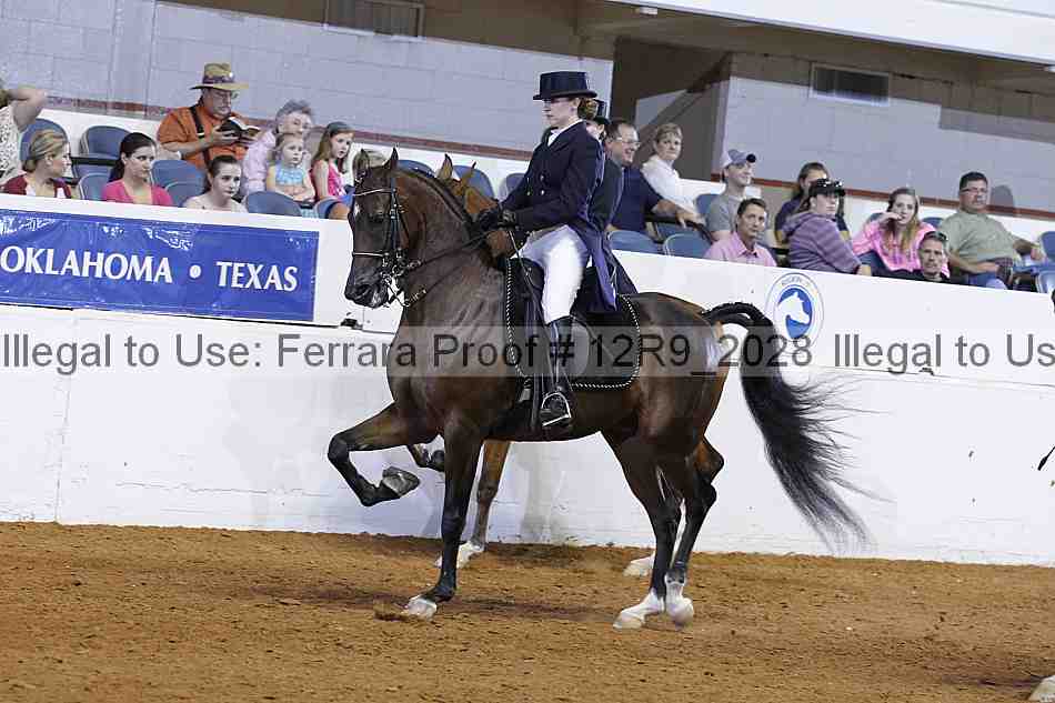 Proof Number 12r9_2028