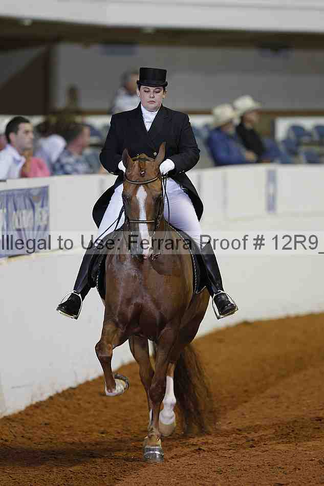 Proof Number 12r9_2035