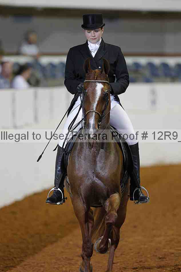 Proof Number 12r9_2037