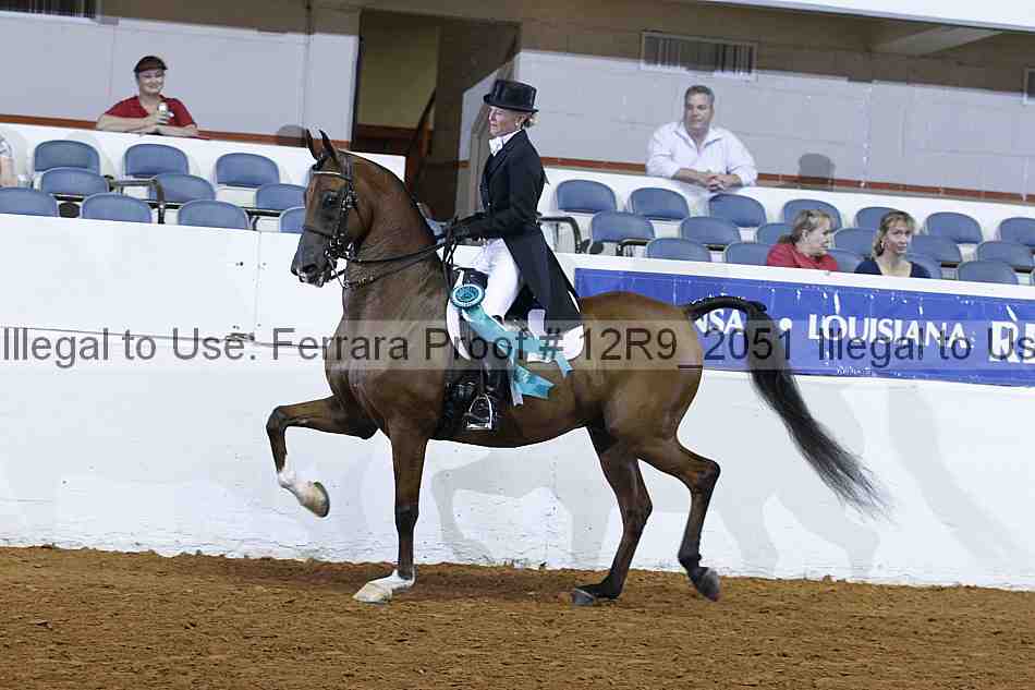 Proof Number 12r9_2051
