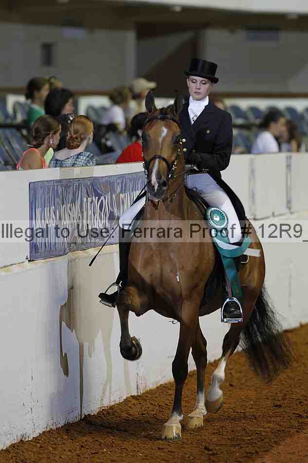 Proof Number 12r9_2055