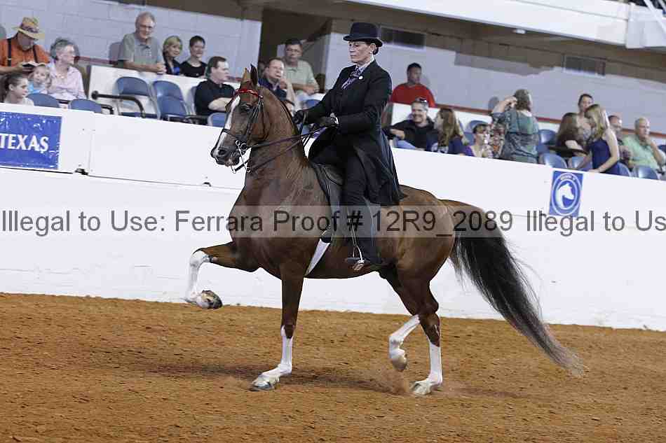 Proof Number 12r9_2089
