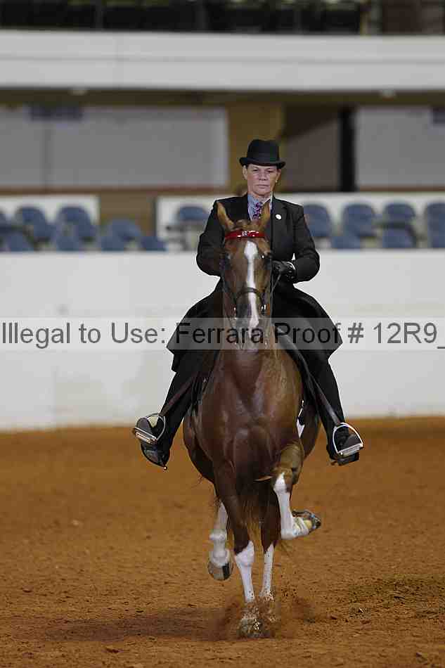 Proof Number 12r9_2102