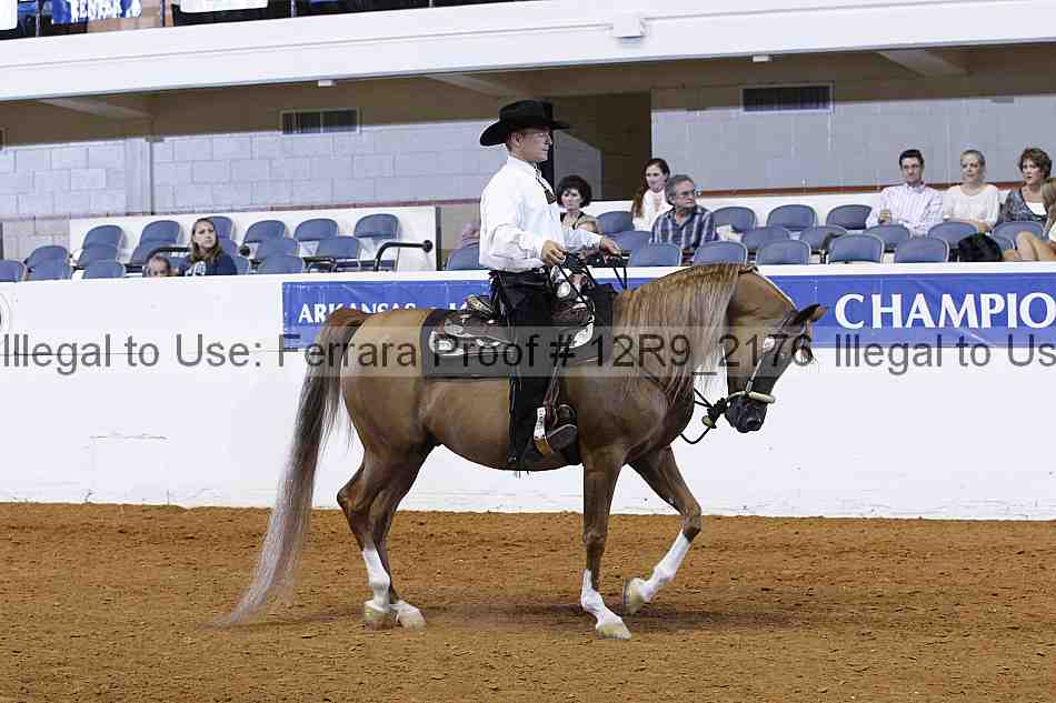 Proof Number 12r9_2176