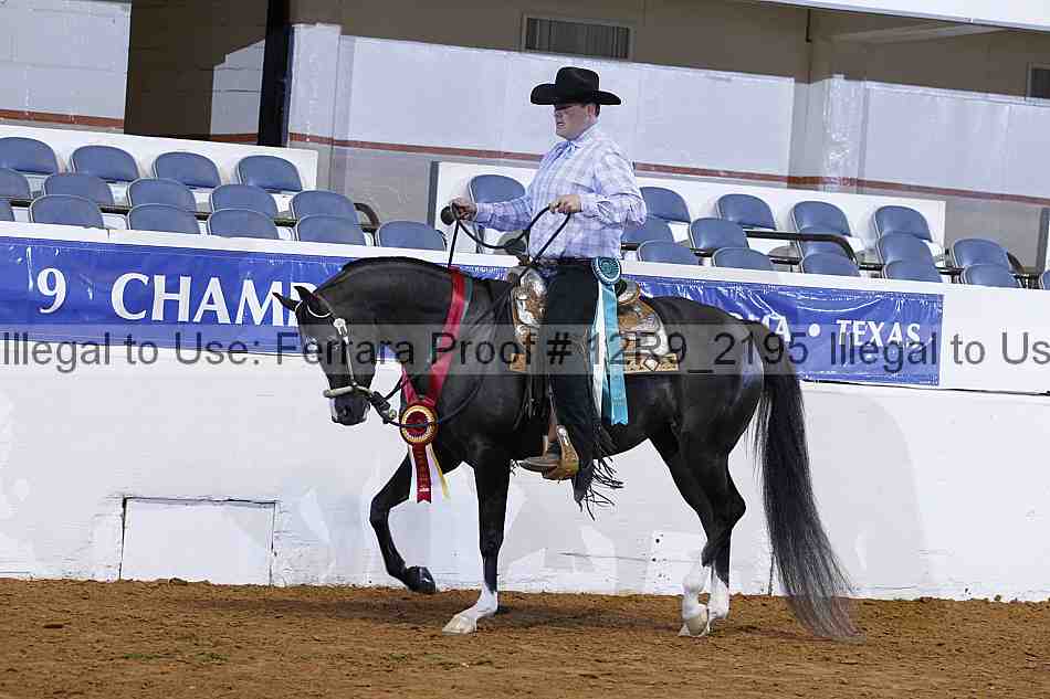 Proof Number 12r9_2195