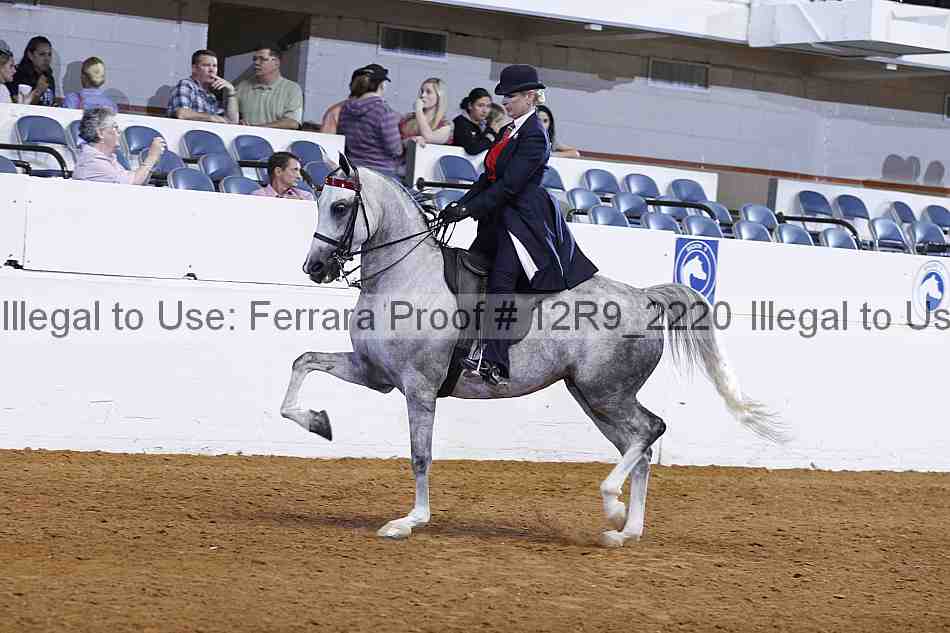 Proof Number 12r9_2220