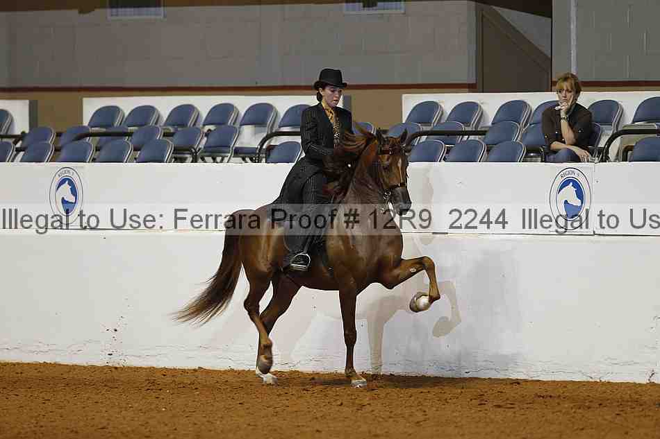 Proof Number 12r9_2244