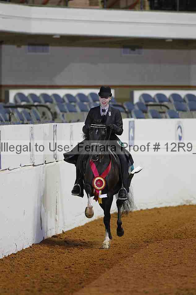 Proof Number 12r9_2262