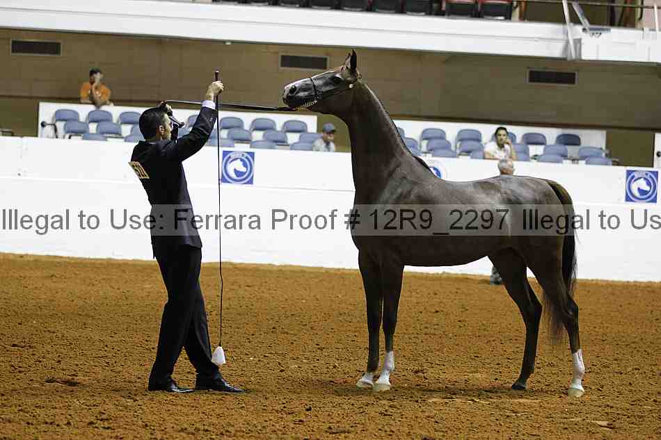 Proof Number 12r9_2297