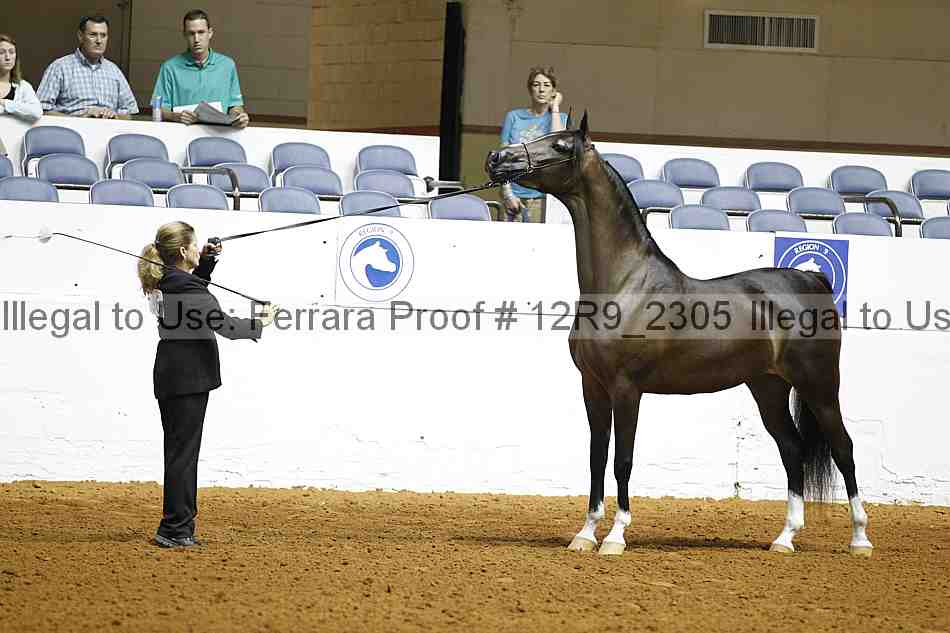 Proof Number 12r9_2305