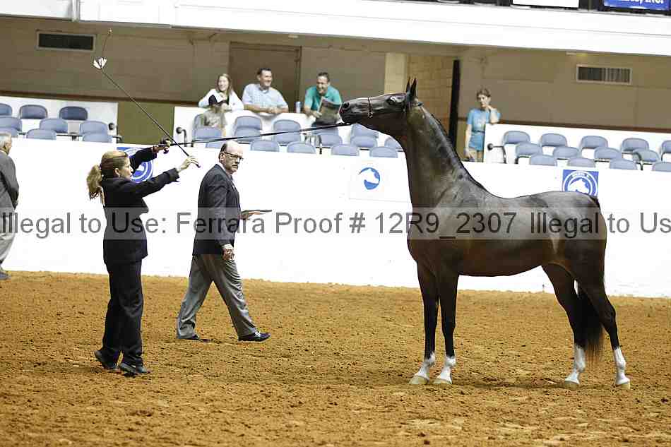 Proof Number 12r9_2307