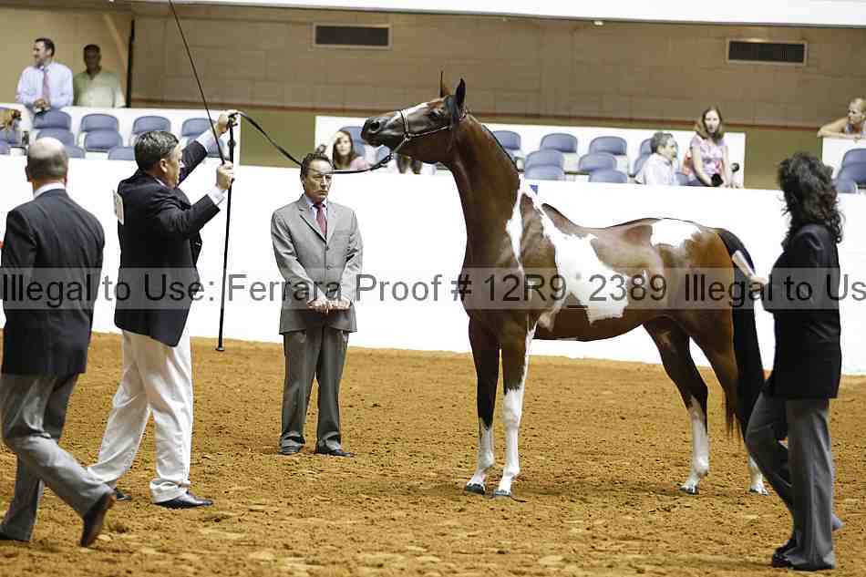 Proof Number 12r9_2389