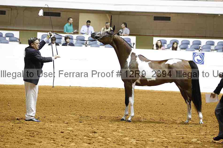 Proof Number 12r9_2394