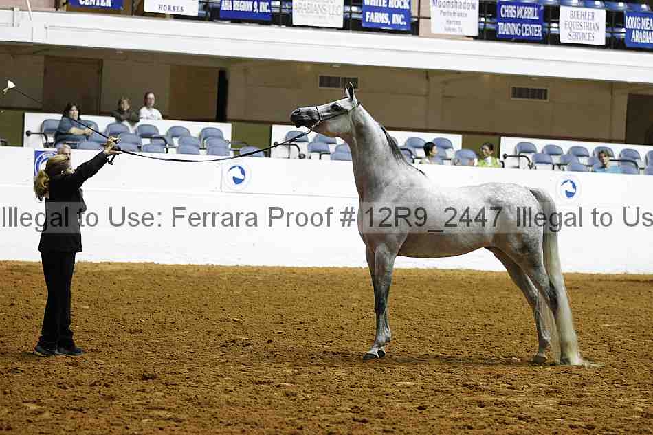 Proof Number 12r9_2447