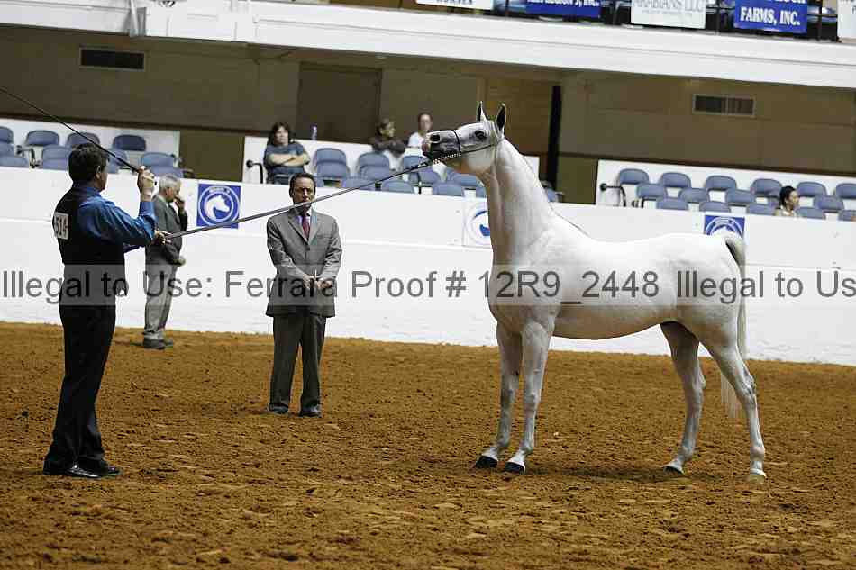 Proof Number 12r9_2448