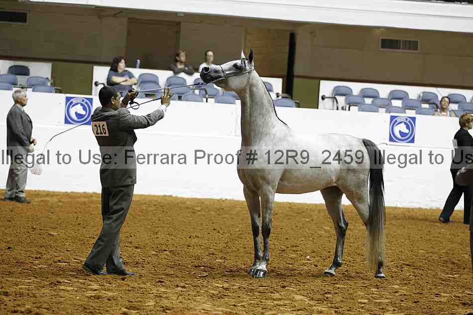 Proof Number 12r9_2459
