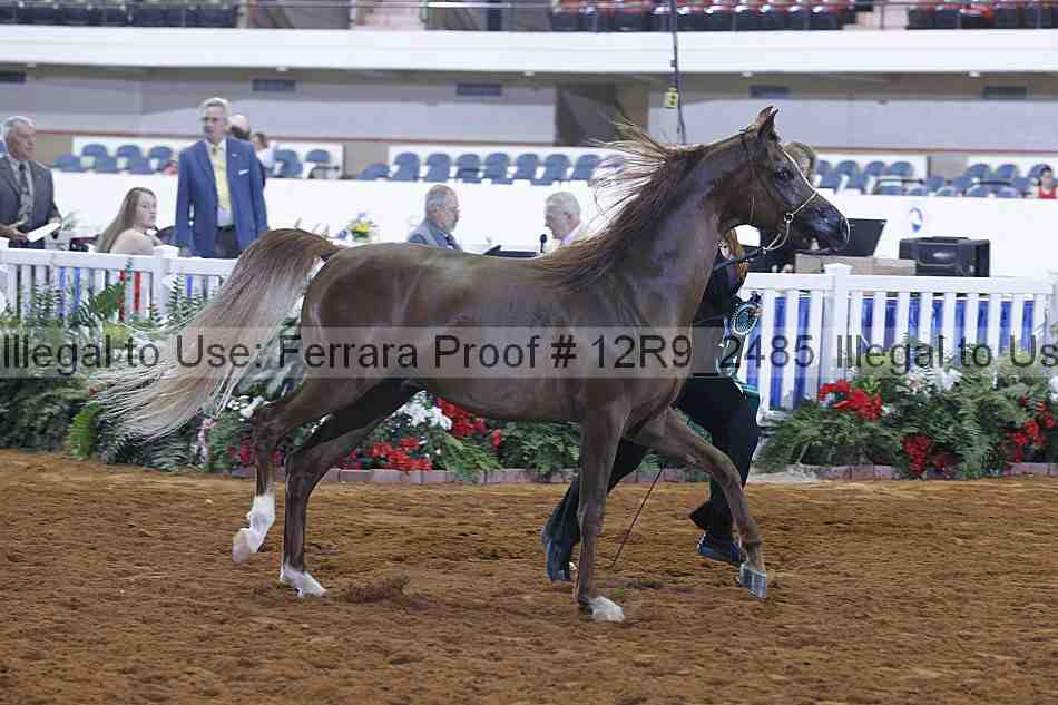 Proof Number 12r9_2485