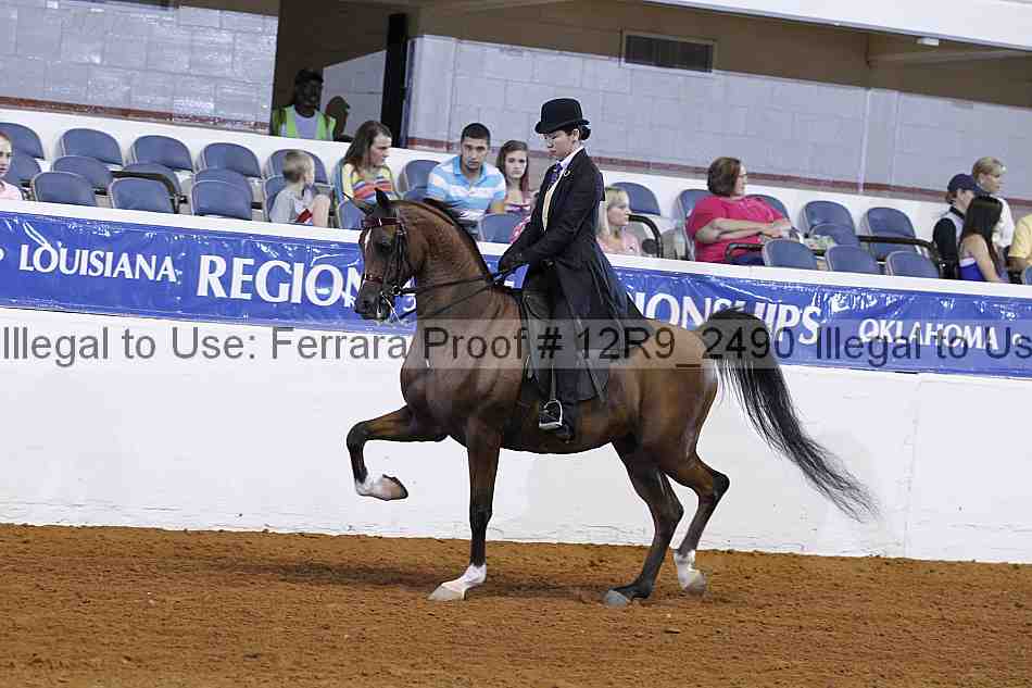 Proof Number 12r9_2490