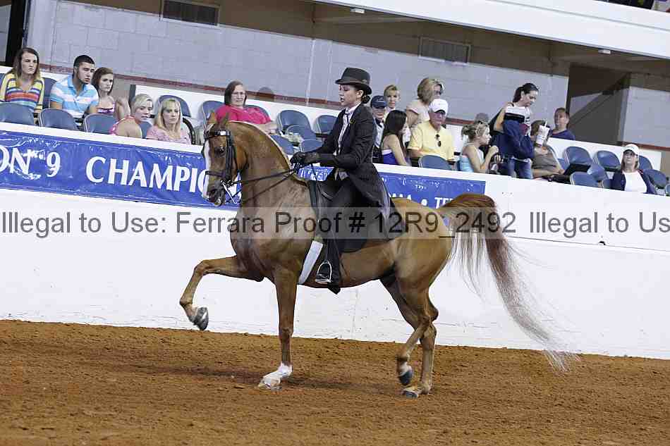 Proof Number 12r9_2492