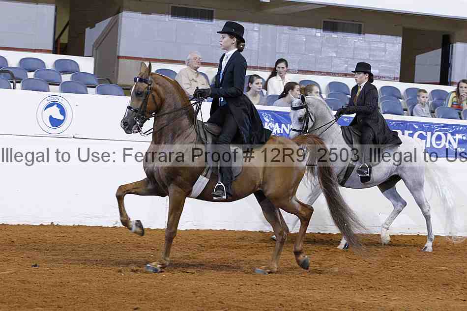 Proof Number 12r9_2503