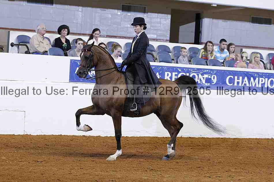 Proof Number 12r9_2505