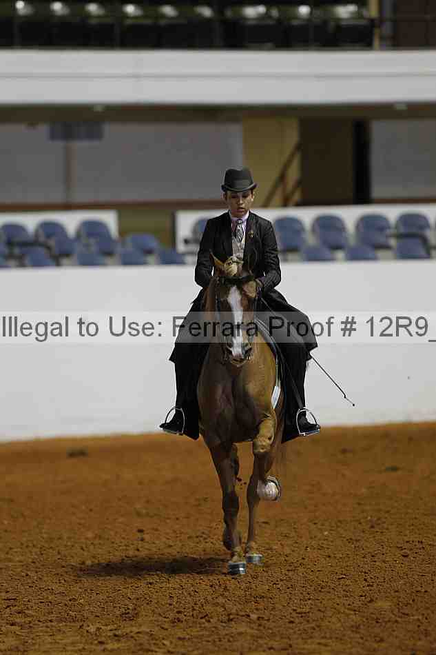 Proof Number 12r9_2512