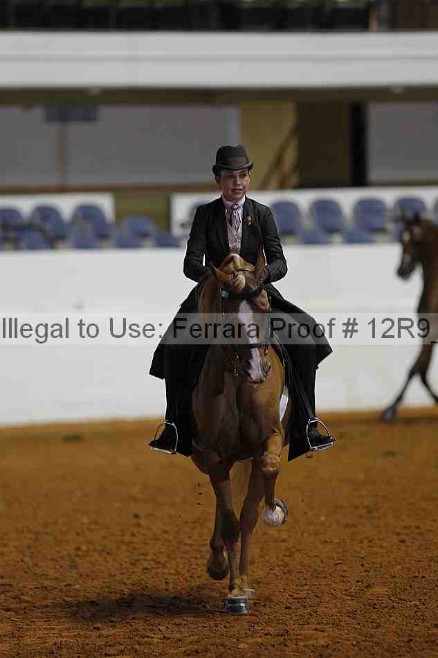 Proof Number 12r9_2513