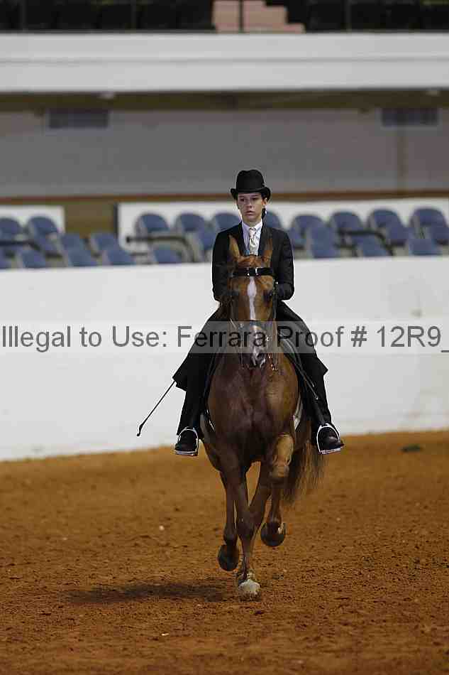 Proof Number 12r9_2518