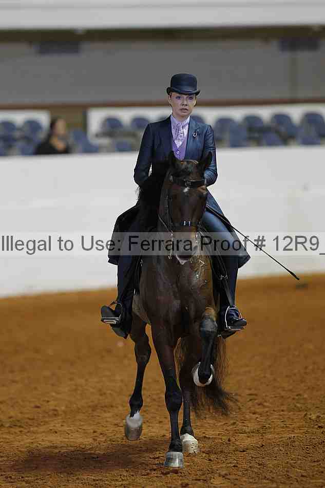 Proof Number 12r9_2523