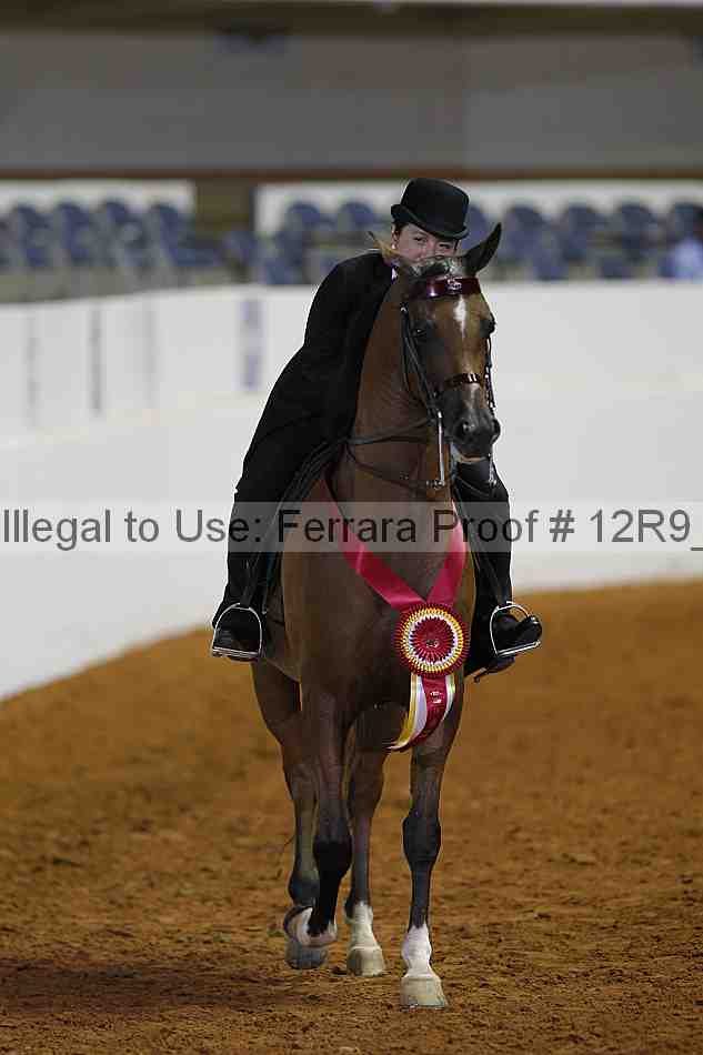 Proof Number 12r9_2534