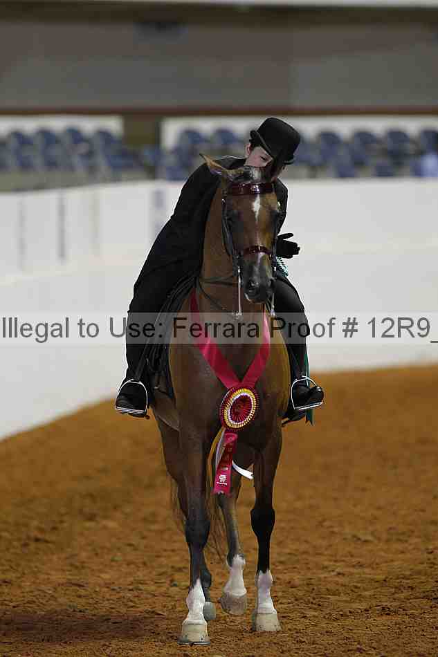 Proof Number 12r9_2535