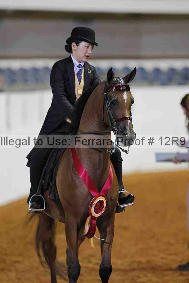 Proof Number 12r9_2538