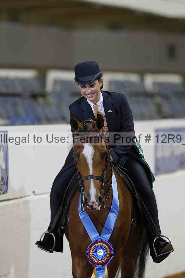 Proof Number 12r9_2545