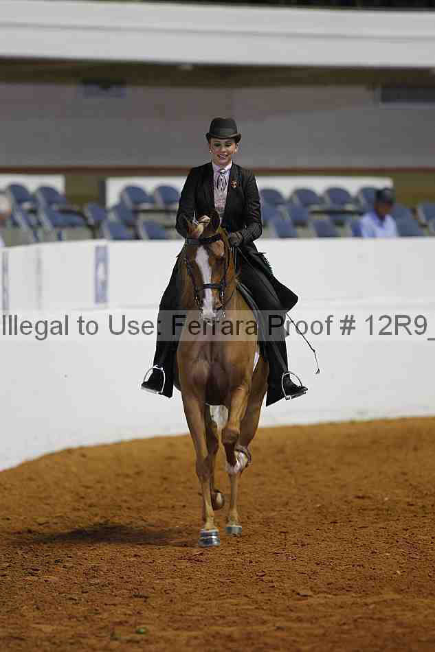 Proof Number 12r9_2551
