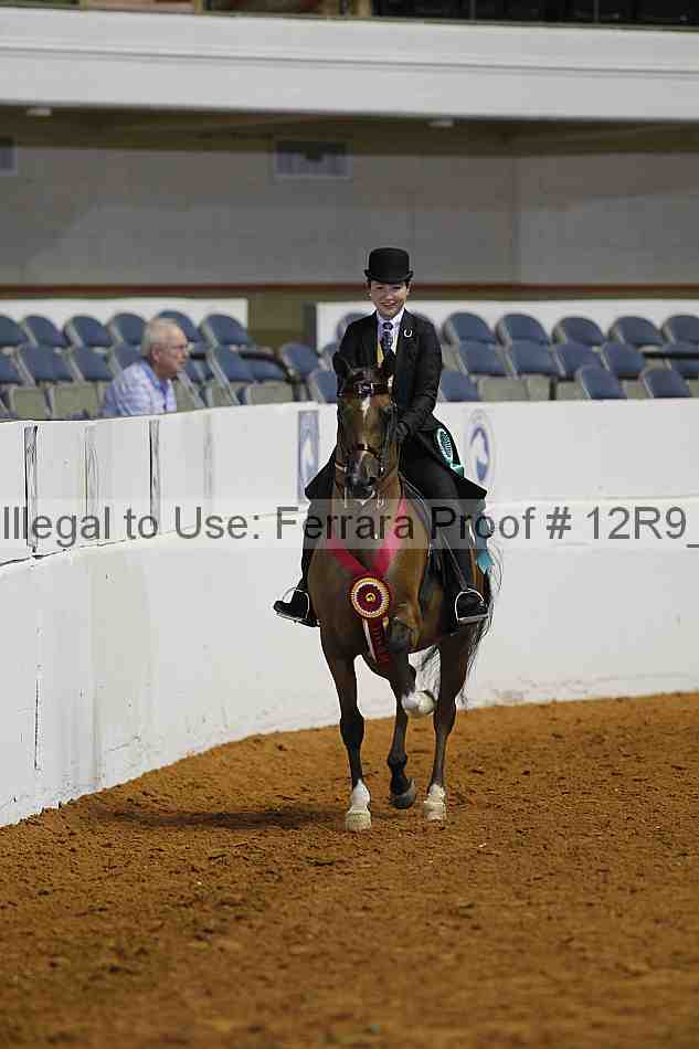Proof Number 12r9_2561