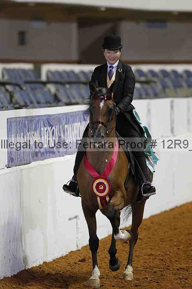 Proof Number 12r9_2563
