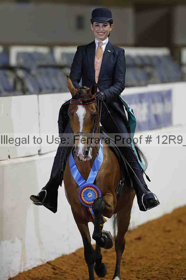 Proof Number 12r9_2564