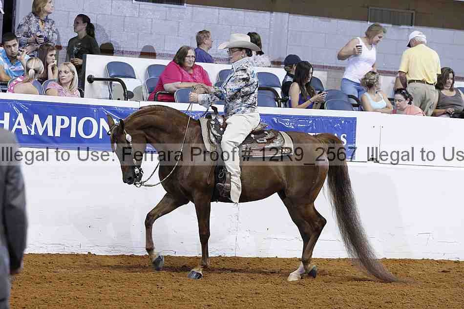 Proof Number 12r9_2567