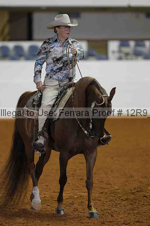Proof Number 12r9_2575