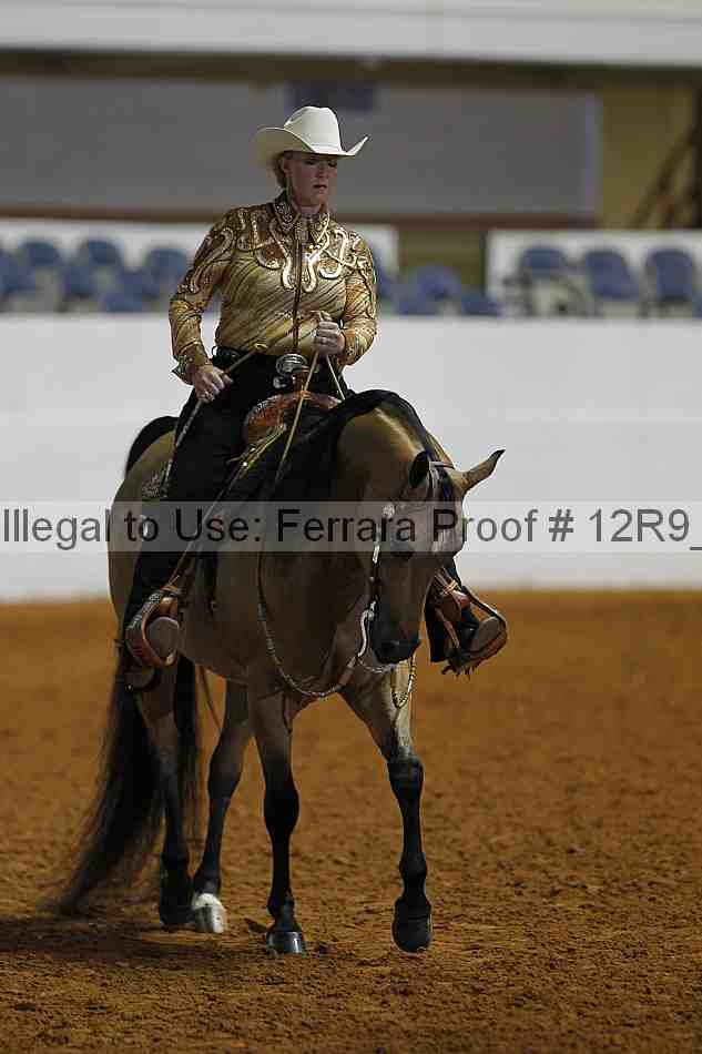 Proof Number 12r9_2583